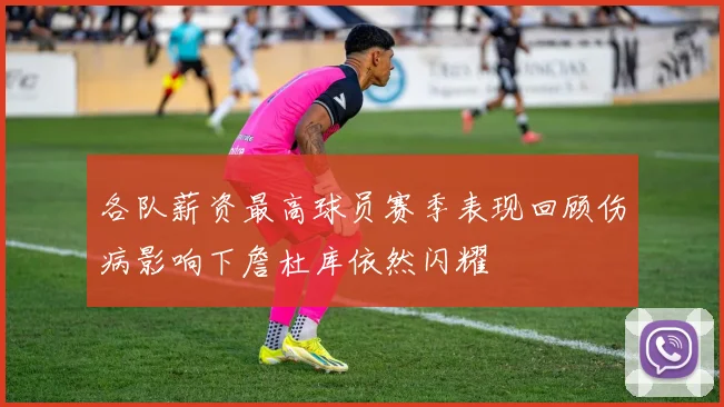 各队薪资最高球员赛季表现回顾伤病影响下詹杜库依然闪耀