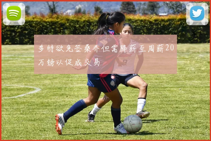 多特欲免签桑乔但需降薪至周薪20万镑以促成交易