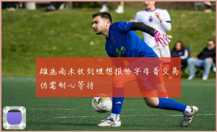 雄鹿尚未收到理想报价字母哥交易仍需耐心等待